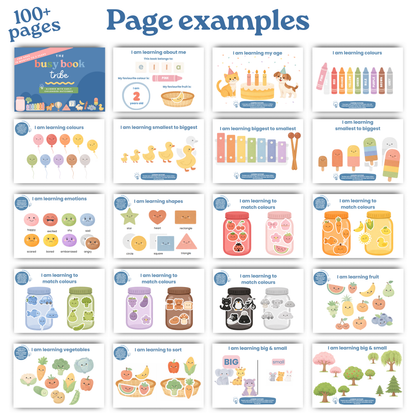 18m - 3 years Busy Book